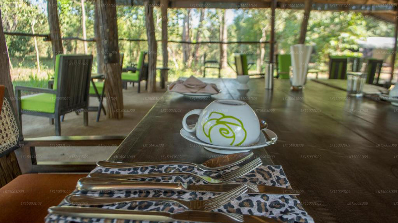 Tree Tops Jungle Lodge, Yala 