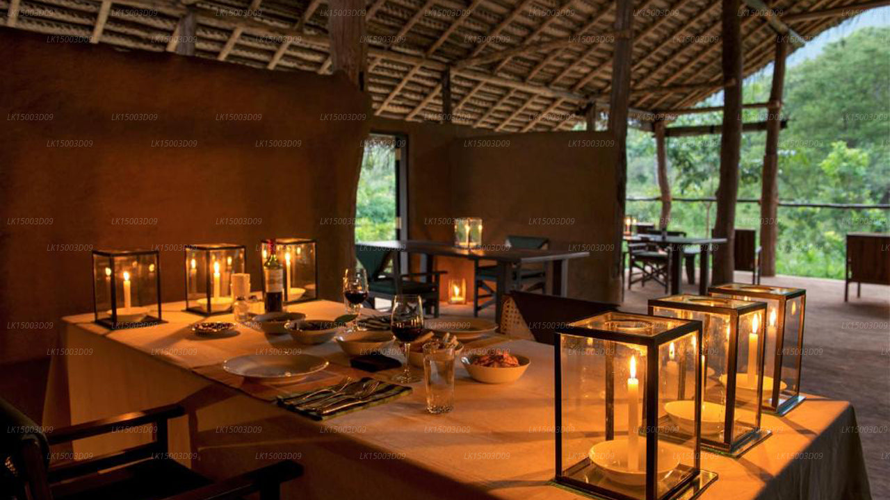 Tree Tops Jungle Lodge, Yala 