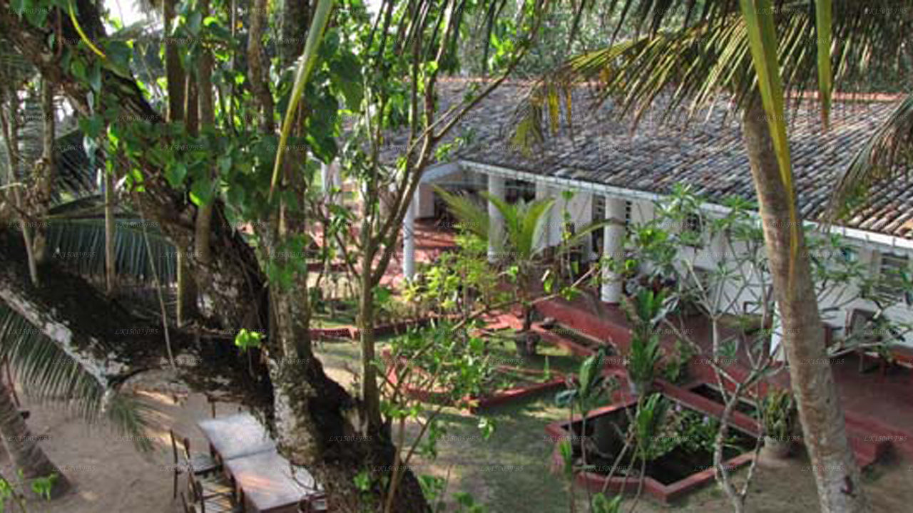 Palmenvilla, Mirissa 