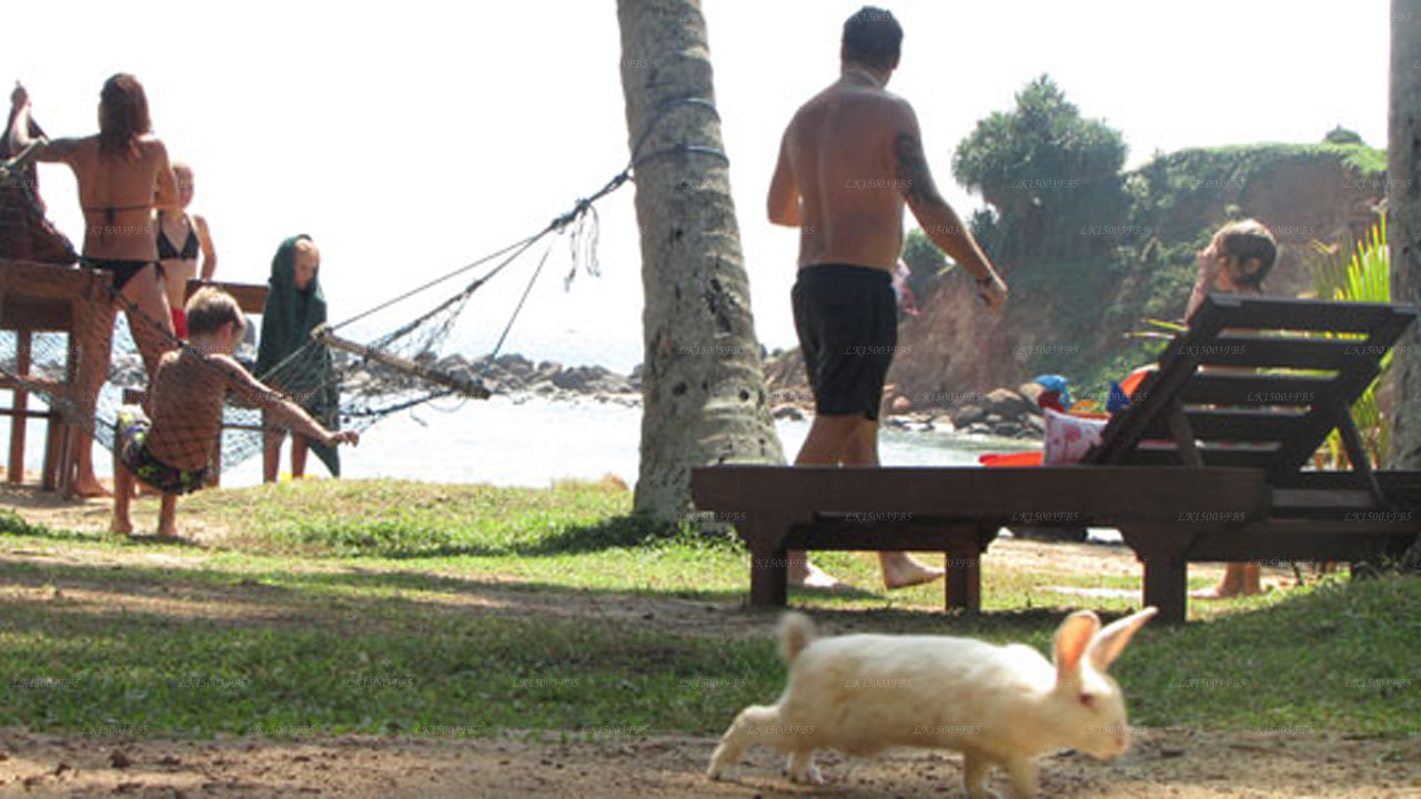 Palmenvilla, Mirissa 