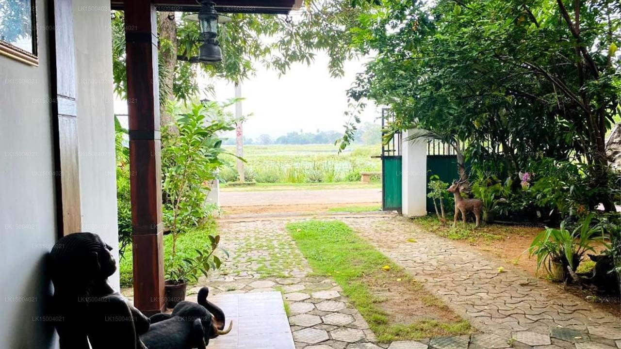 Vogelparadies Yala &amp; Safari, Tissamaharama