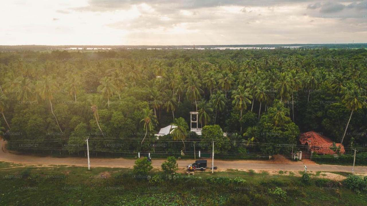 Vogelparadies Yala &amp; Safari, Tissamaharama