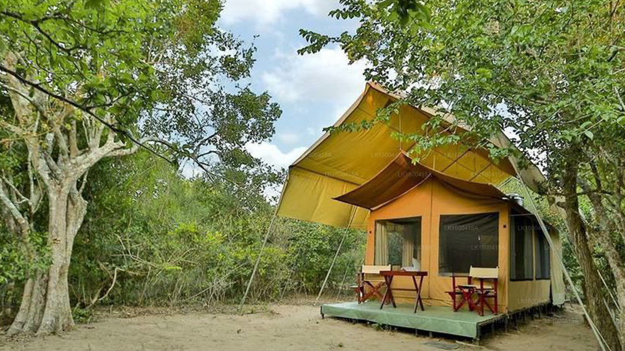 Wild Trails Yala Eco Camp von Yoho, Yala