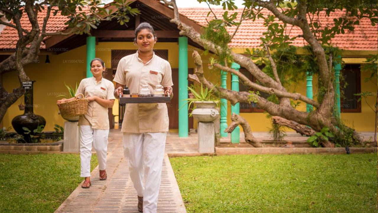 Jetwing Ayurveda-Pavillons, Negombo