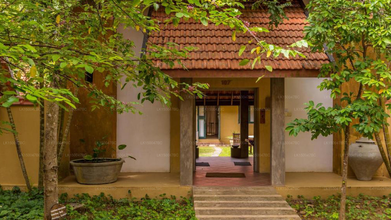 Jetwing Ayurveda-Pavillons, Negombo