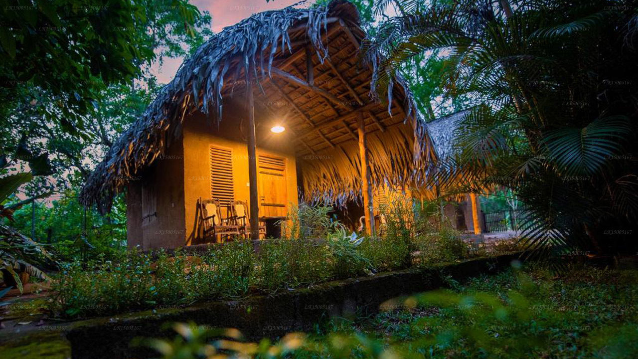 Privates Bio-Haus, Udawalawe