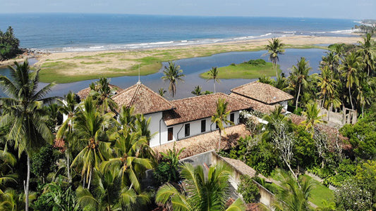 Die Postkarte Galle, Galle
