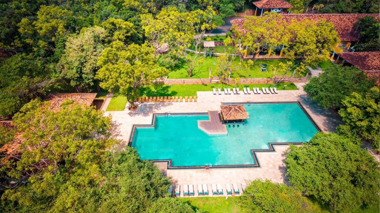 Amaya-See, Dambulla