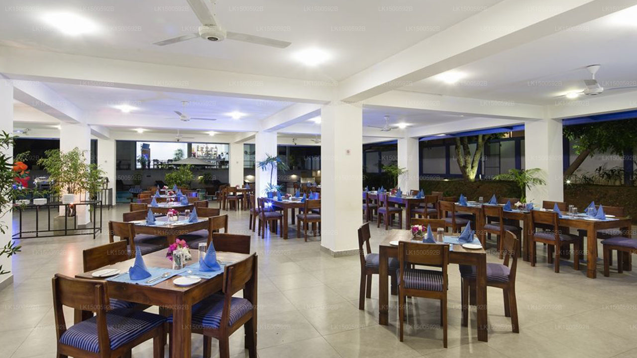 Das Blue Wave Hotel, Arugam Bay