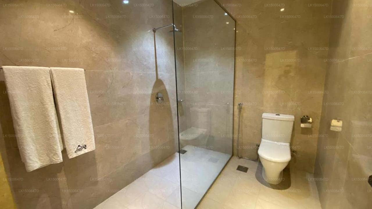 Avasta Resort &amp; Spa, Anuradhapura 