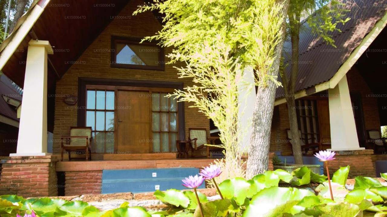 Avasta Resort &amp; Spa, Anuradhapura 