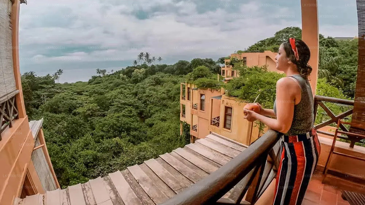 Barberyn Beach Ayurveda Resort, Weligama 