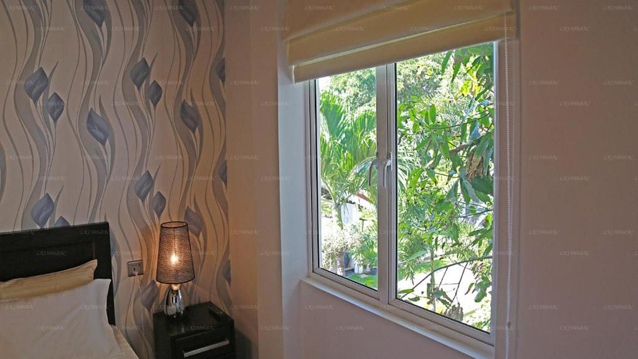 The Branch B&amp;B, Negombo