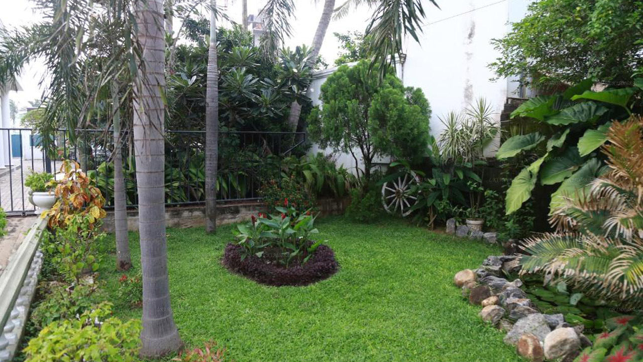 The Branch B&amp;B, Negombo