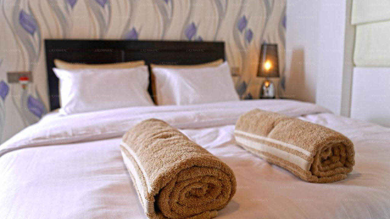 The Branch B&amp;B, Negombo