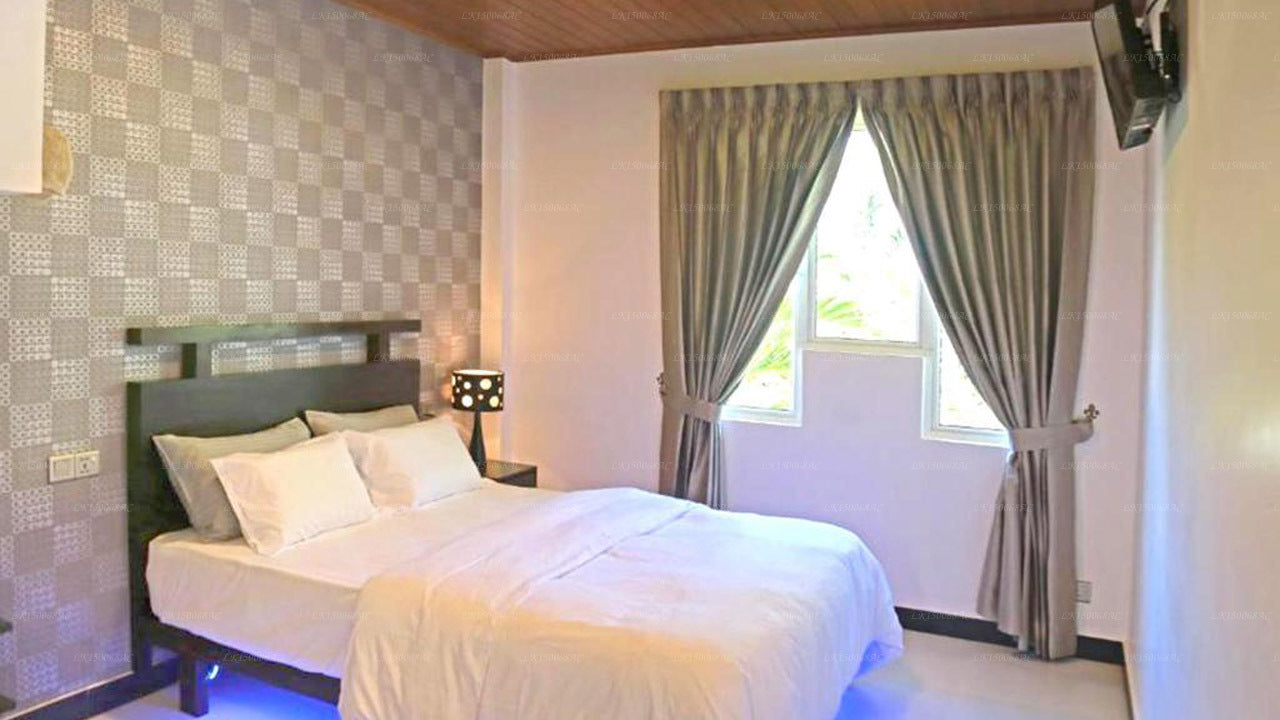 The Branch B&amp;B, Negombo