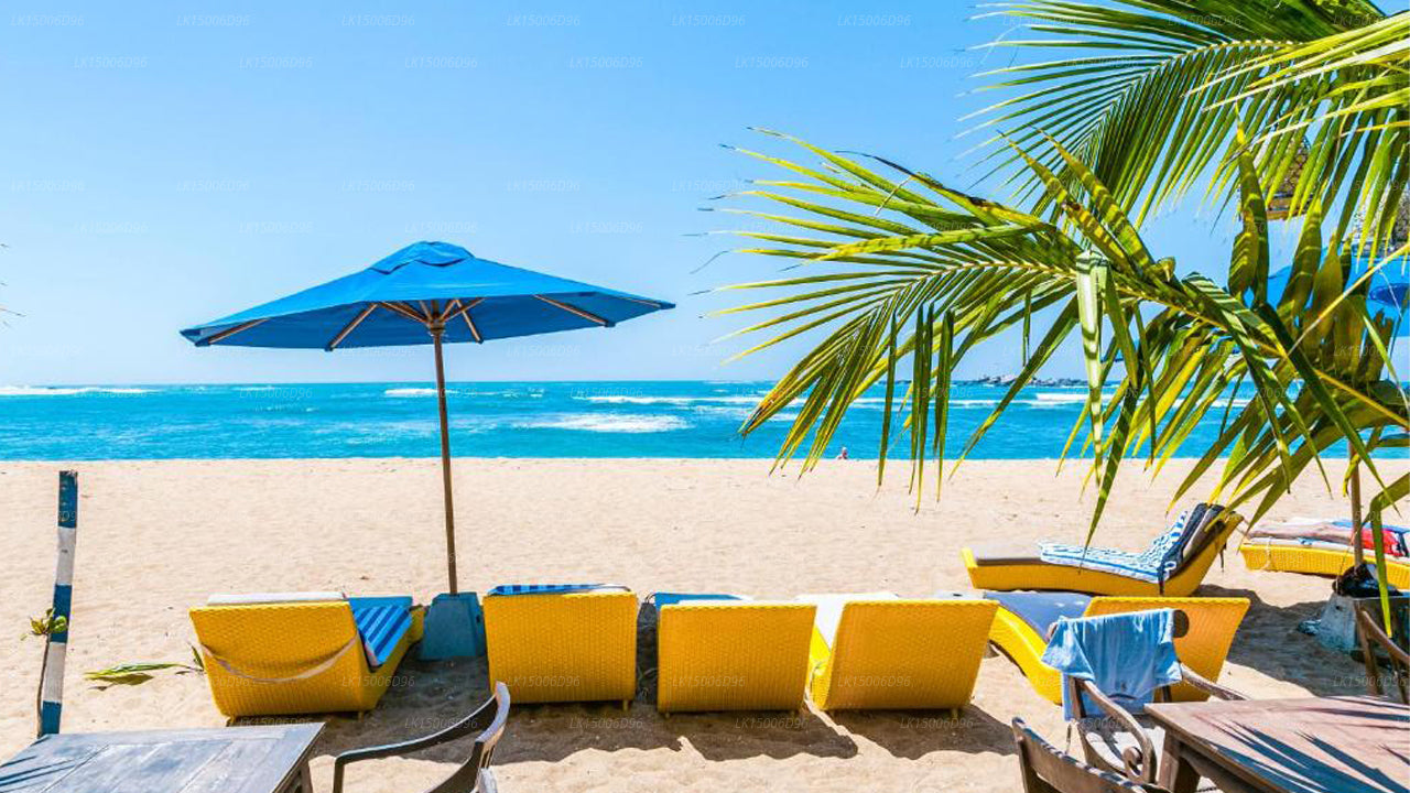 Thaproban Beach House, Unawatuna 