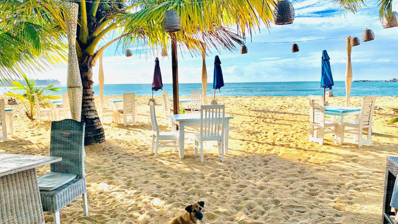Thaproban Beach House, Unawatuna 