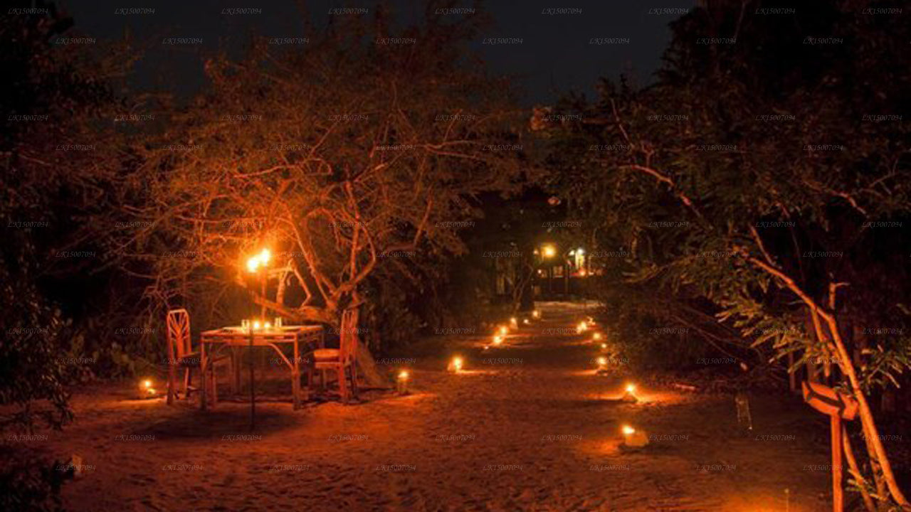 Baywatch Eco Resort Village, Kalpitiya
