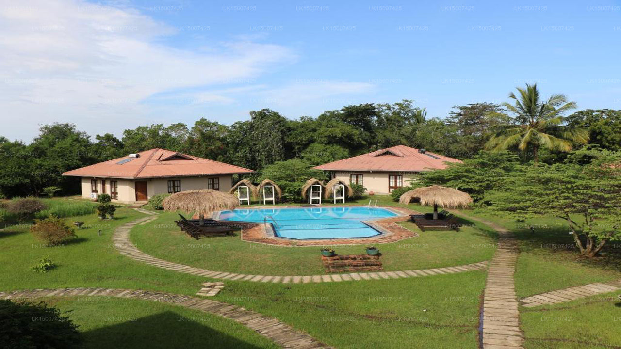 Hibiskusgarten, Tissamaharama 