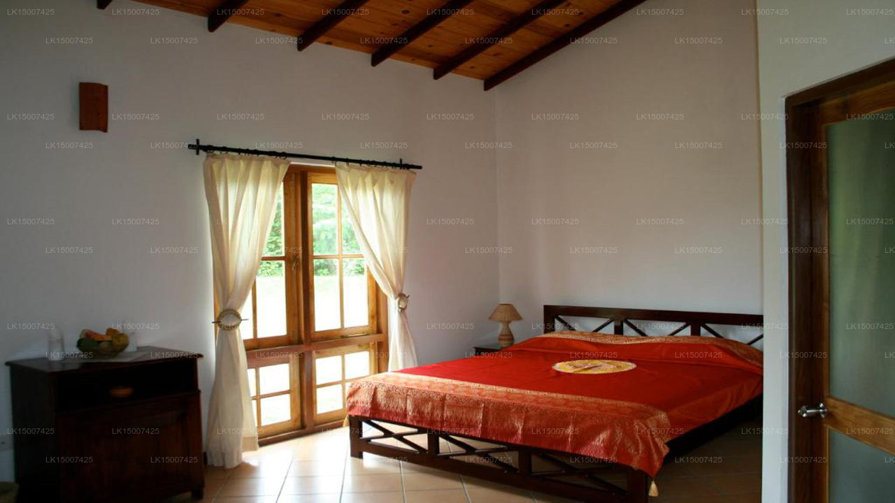 Hibiskusgarten, Tissamaharama 