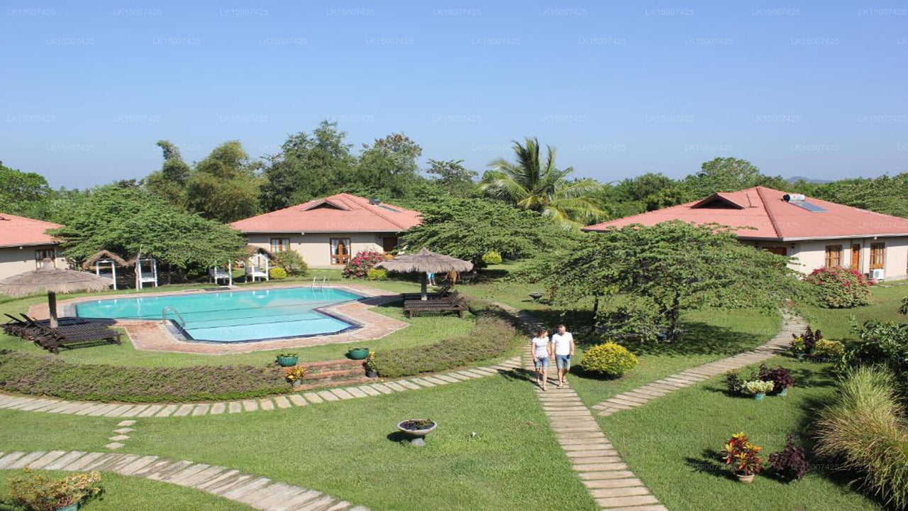 Hibiskusgarten, Tissamaharama 