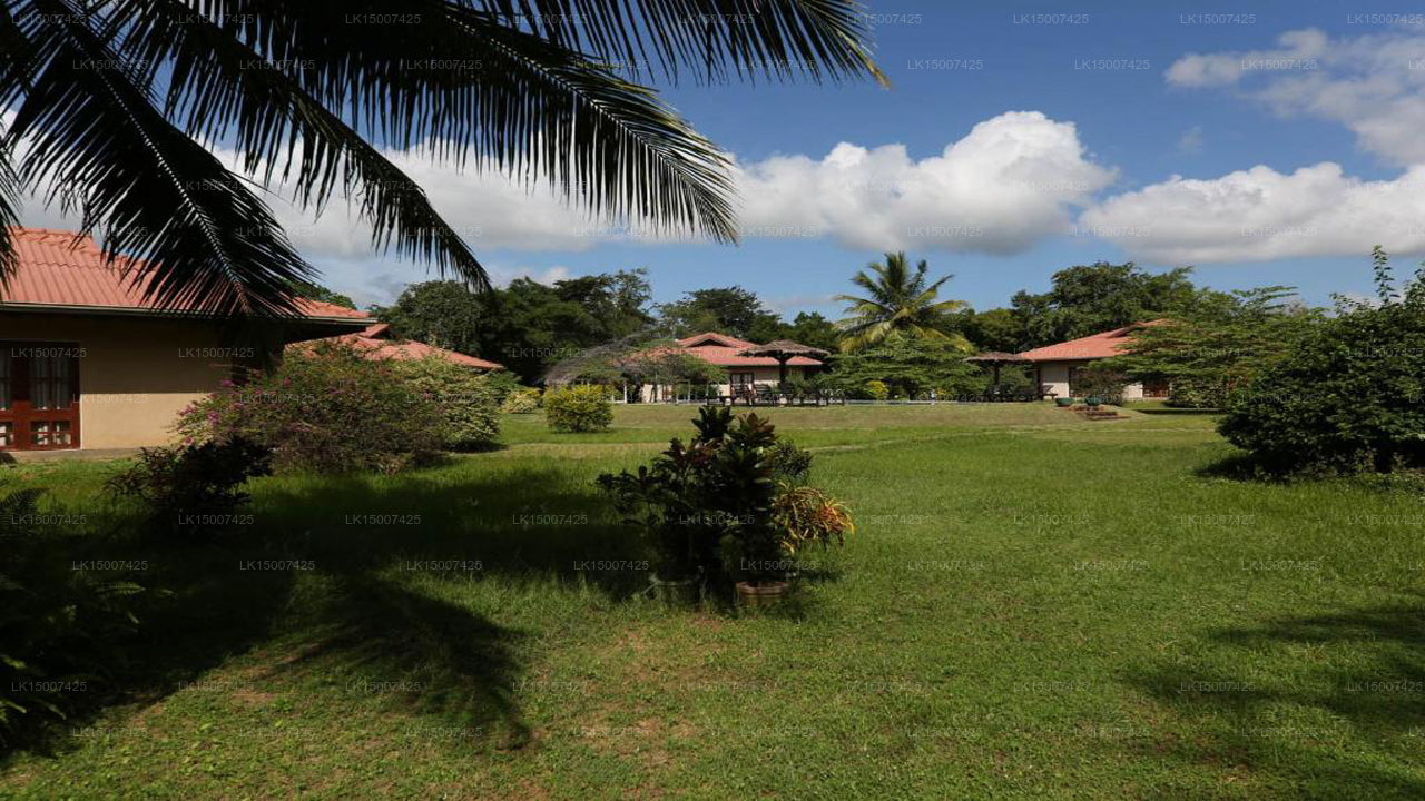 Hibiskusgarten, Tissamaharama 