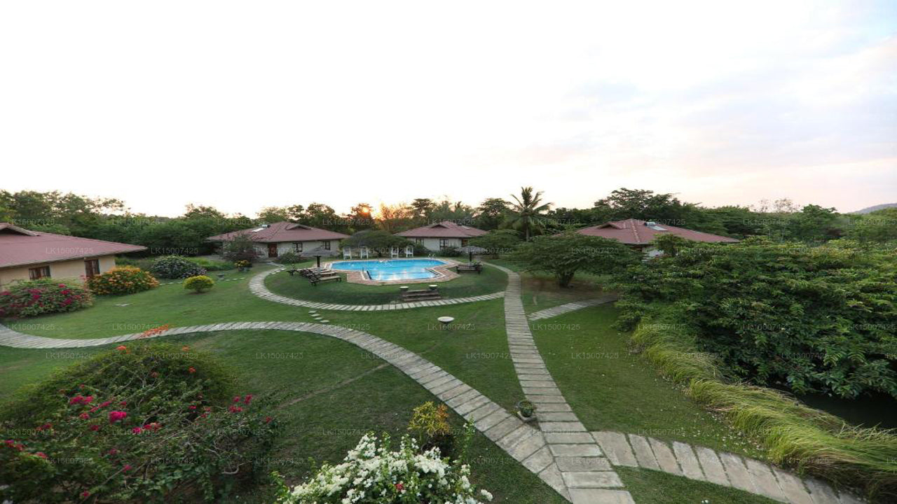 Hibiskusgarten, Tissamaharama 