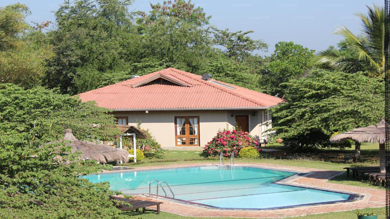 Hibiskusgarten, Tissamaharama 