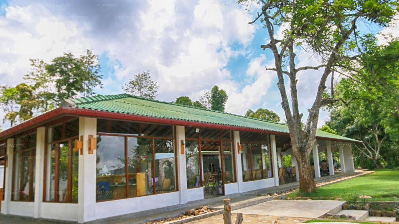 Das Tea Tree Resort, Ella