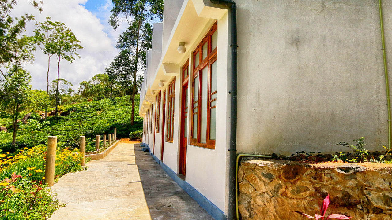 Das Tea Tree Resort, Ella