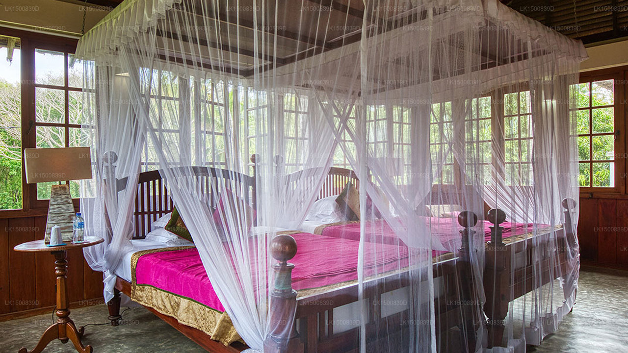 Letztes Haus, Tangalle