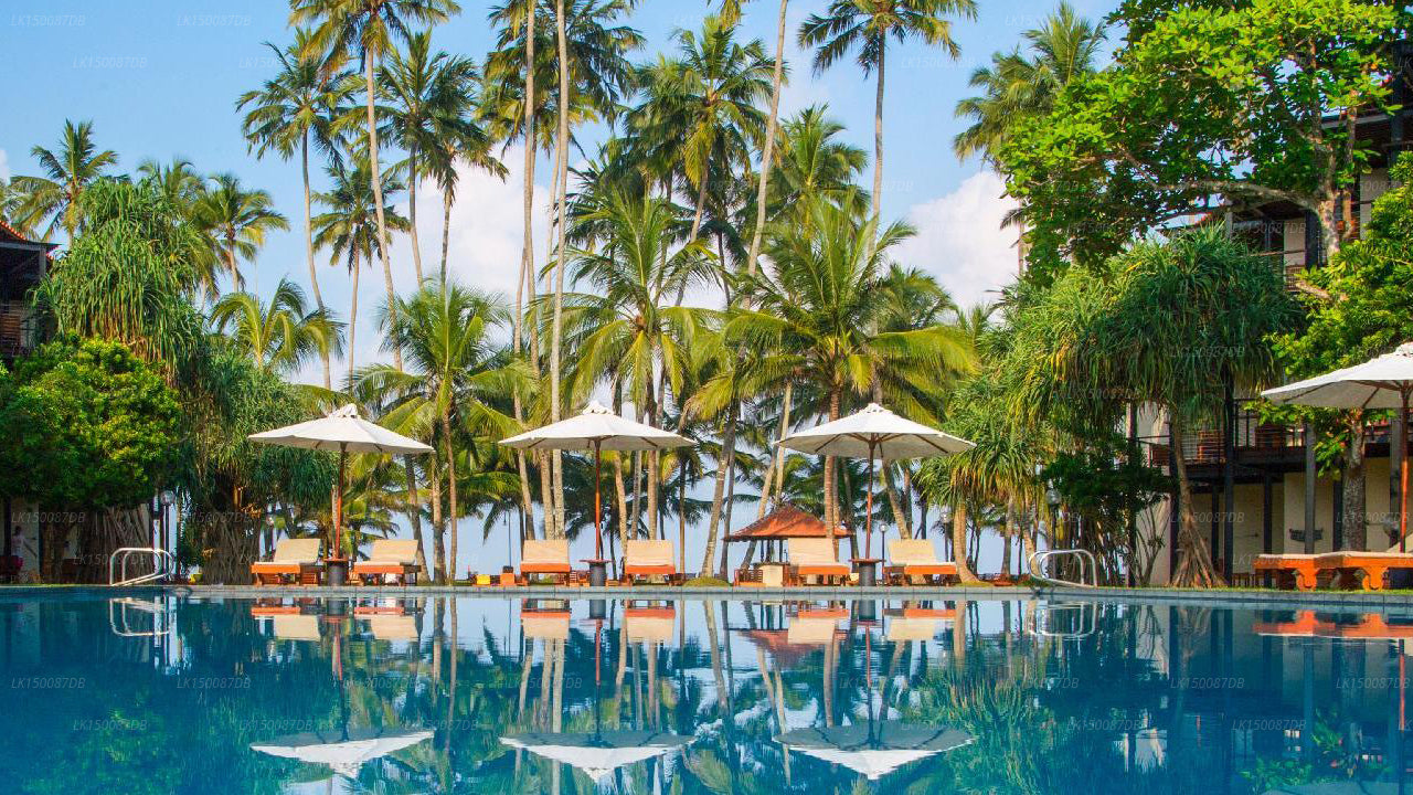 Villa Ocean View Hotel, Wadduwa 