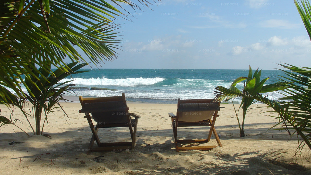 Patini Bungalows, Tangalle 