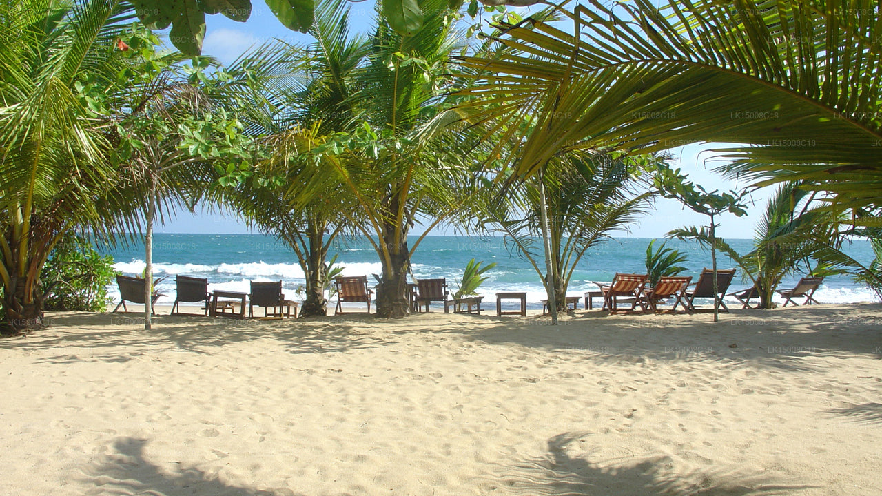 Patini Bungalows, Tangalle 