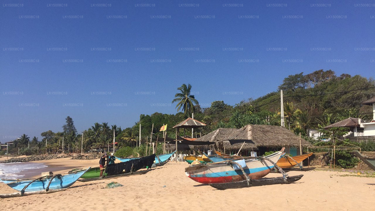 Patini Bungalows, Tangalle 