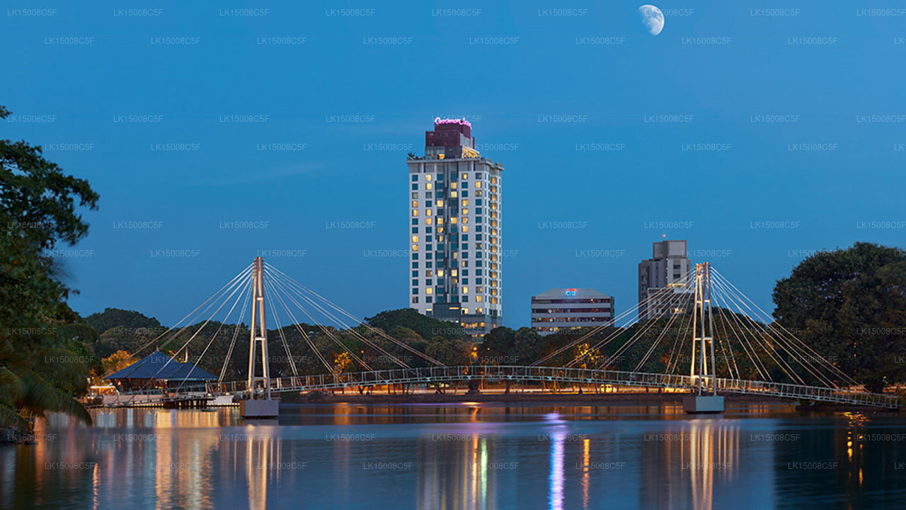 Zimtrot, Colombo