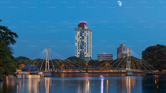 Zimtrot, Colombo