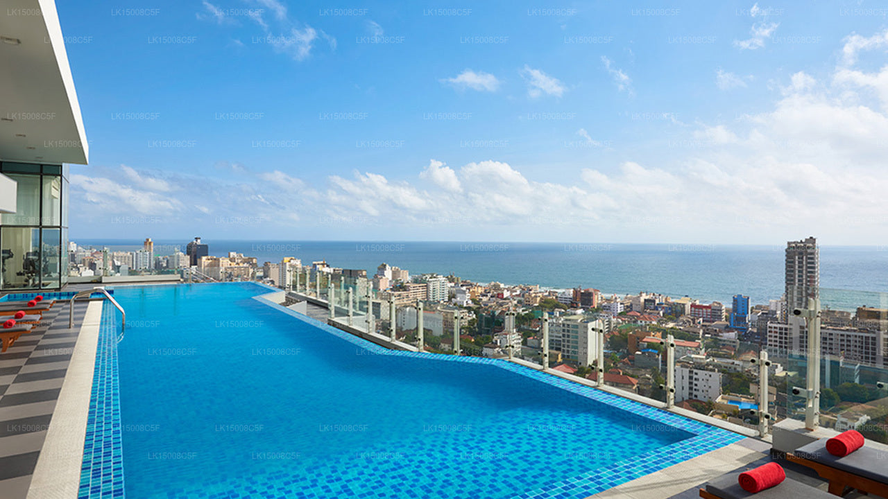 Zimtrot, Colombo