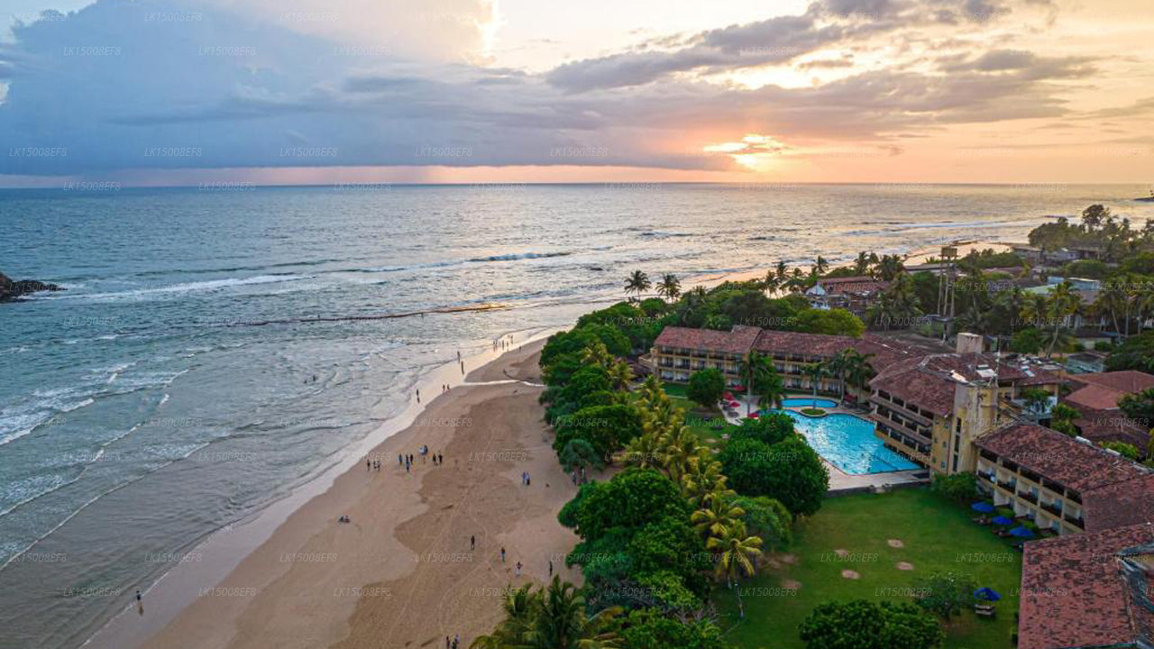 Das Palms Hotel, Beruwala 
