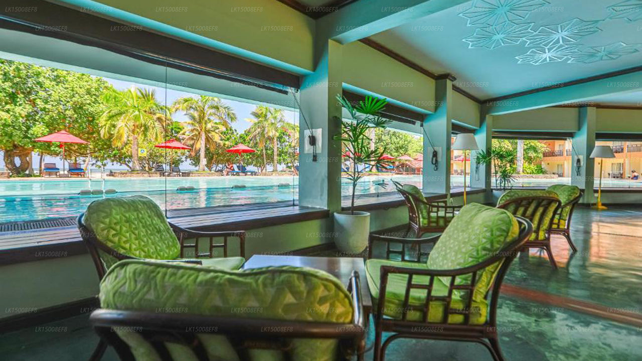 Das Palms Hotel, Beruwala 