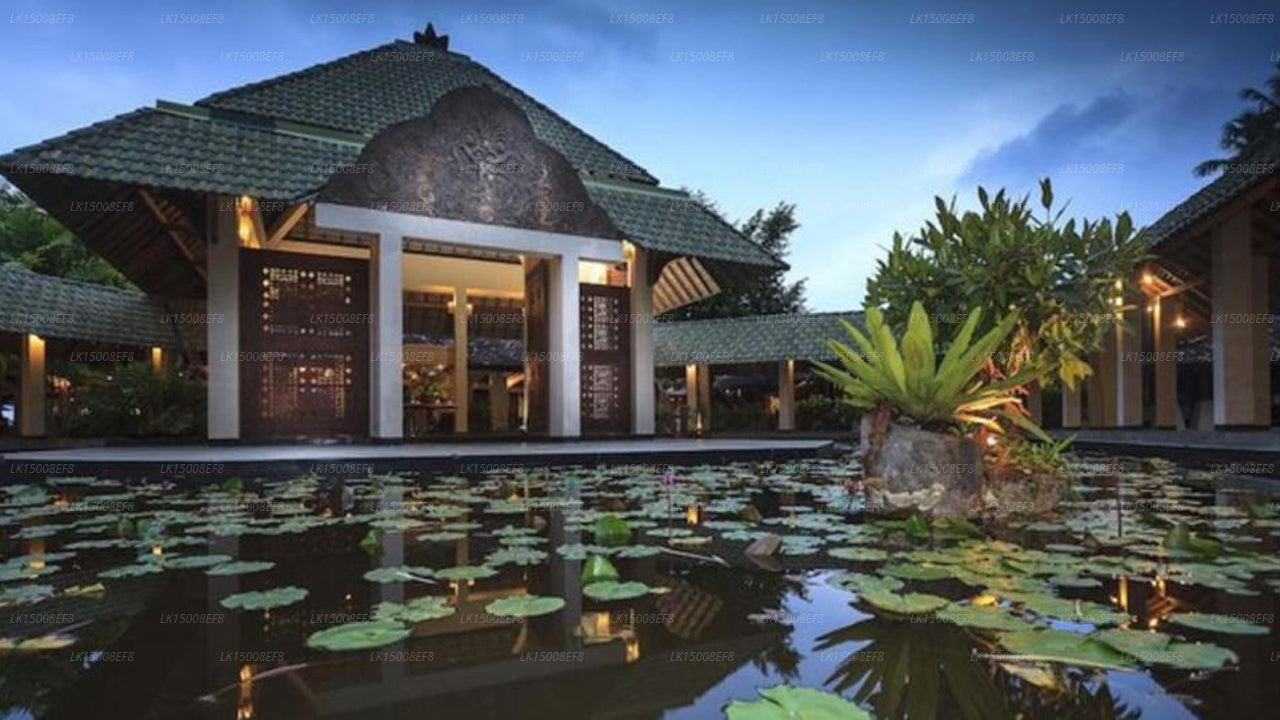 Das Palms Hotel, Beruwala 