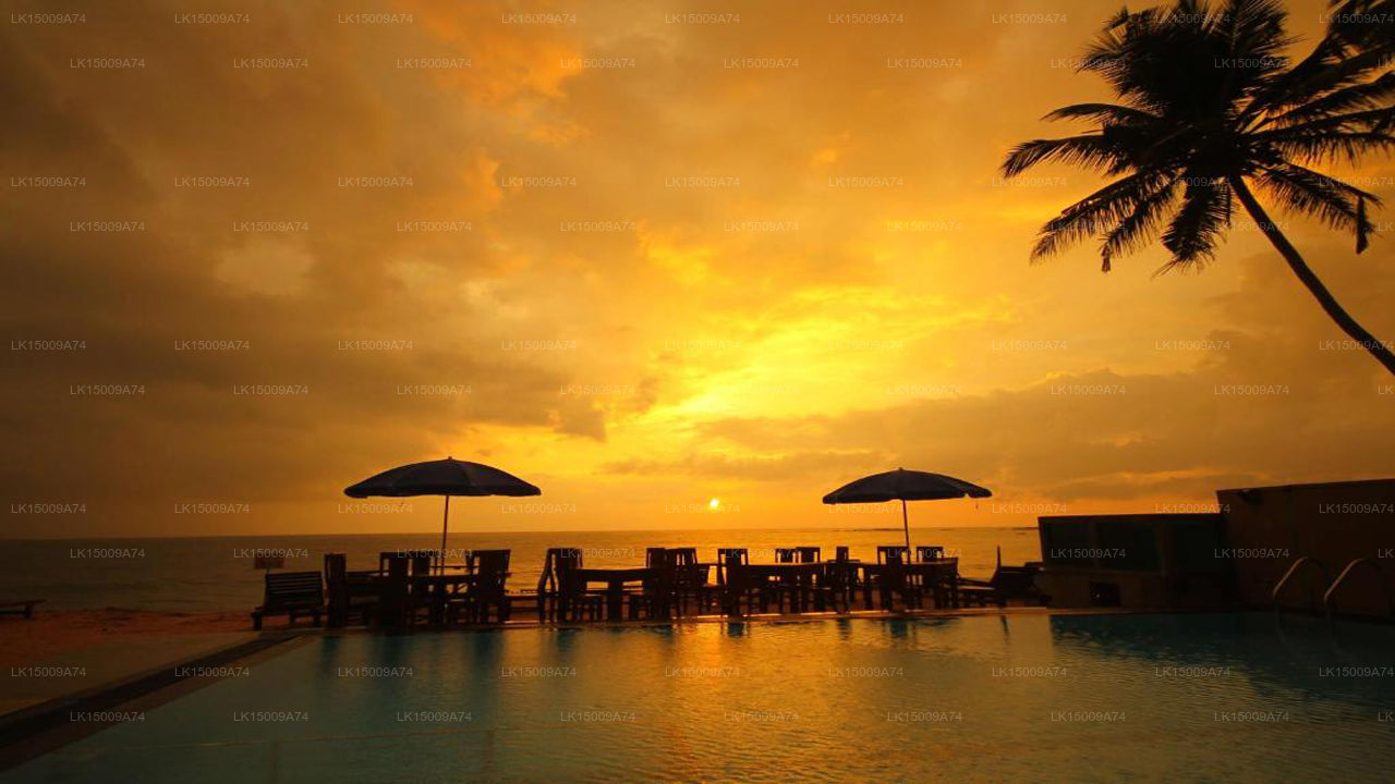 Kristallpalast, Ahangama