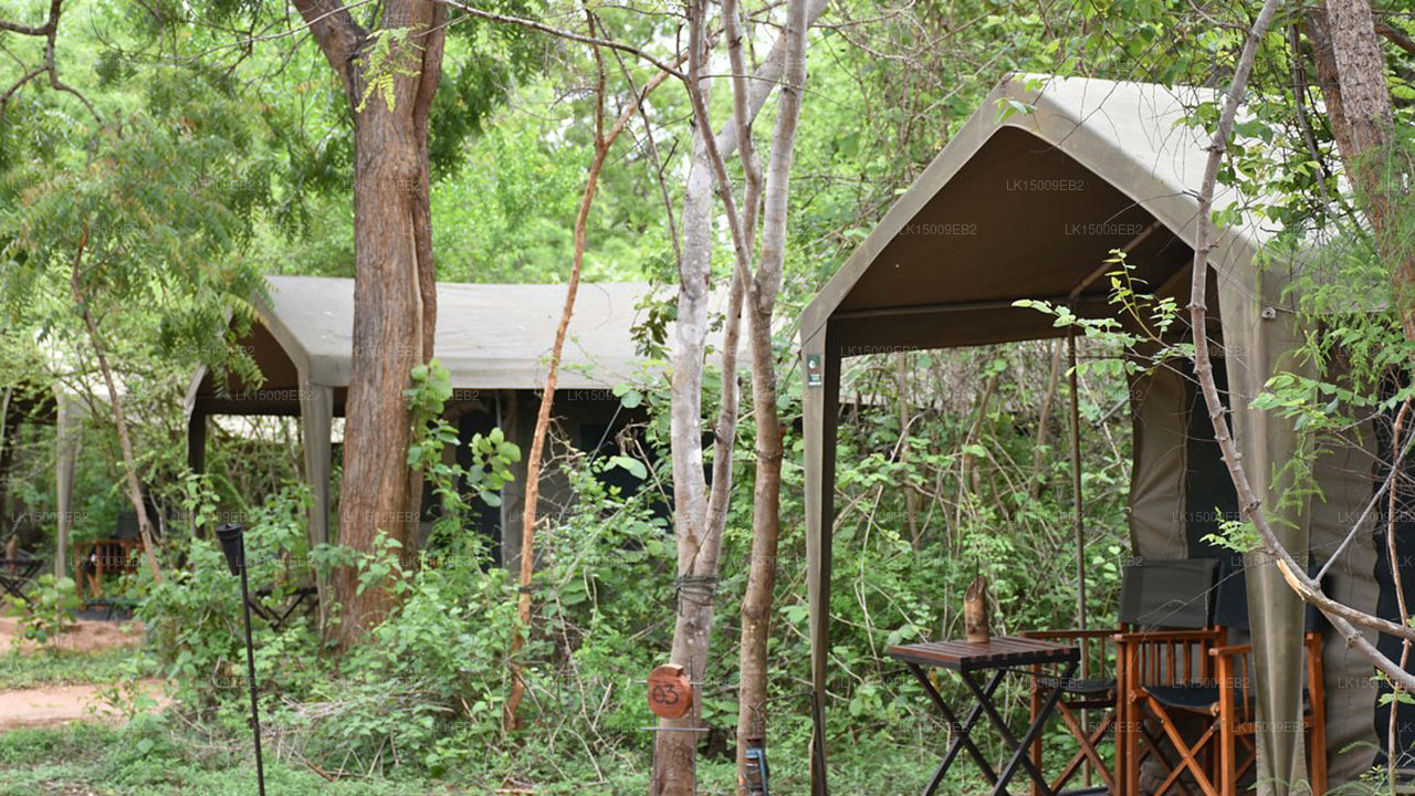 Großwildcamps und Lodges, Yala