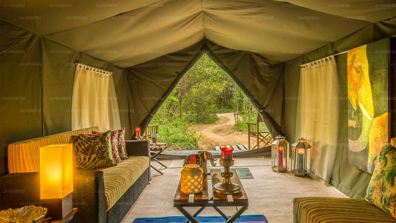 Großwildcamps und Lodges, Yala