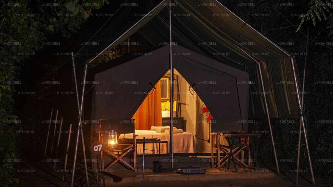 Großwildcamps und Lodges, Yala