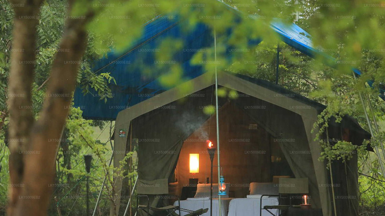 Großwildcamps und Lodges, Yala