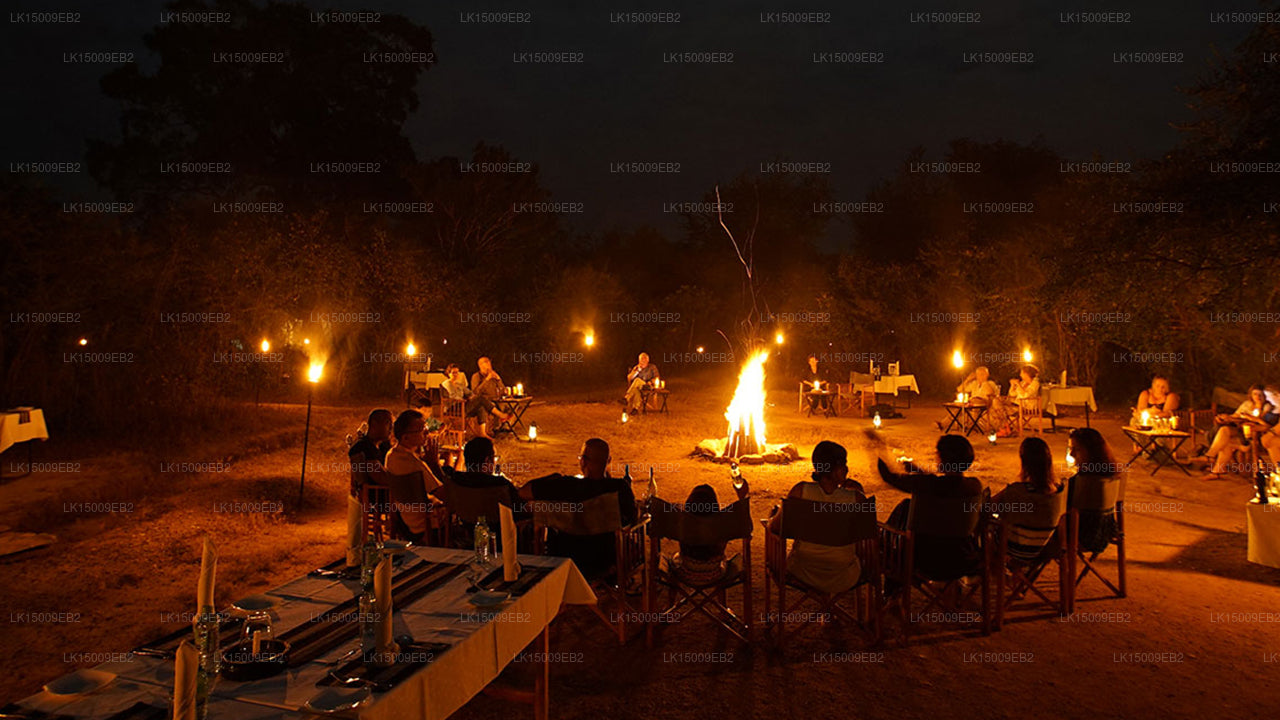 Großwildcamps und Lodges, Yala