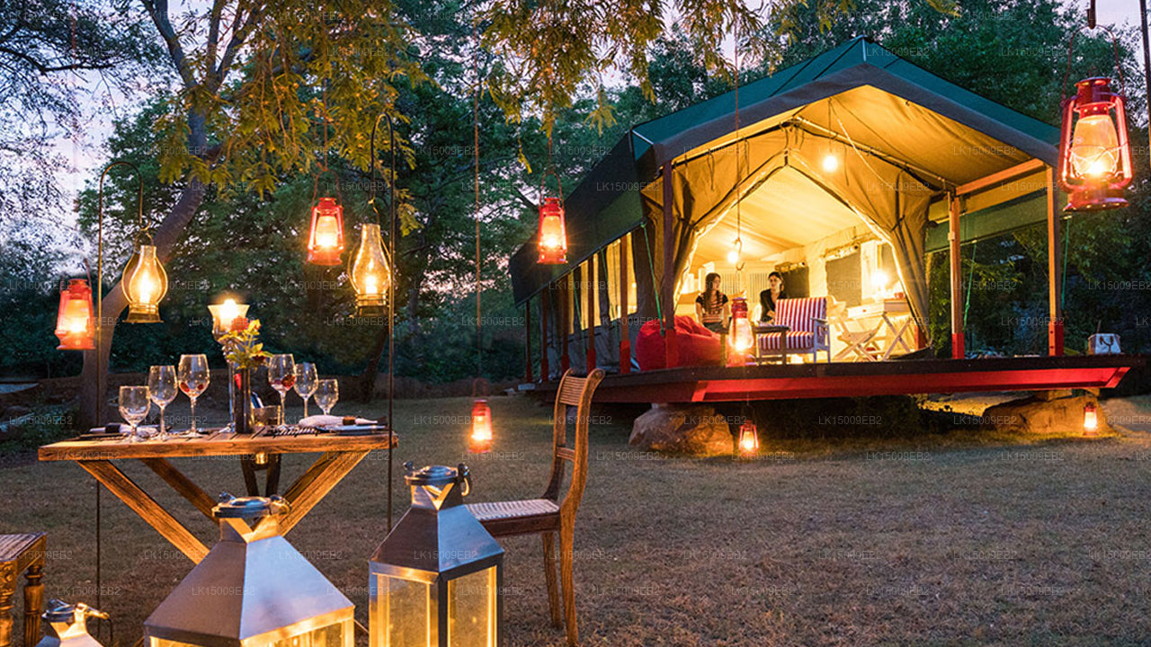 Großwildcamps und Lodges, Yala