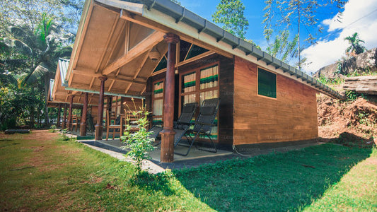 360 Regenwald, Deniyaya